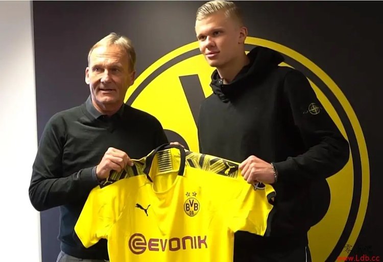 冲刺并收获 冲刺并收获